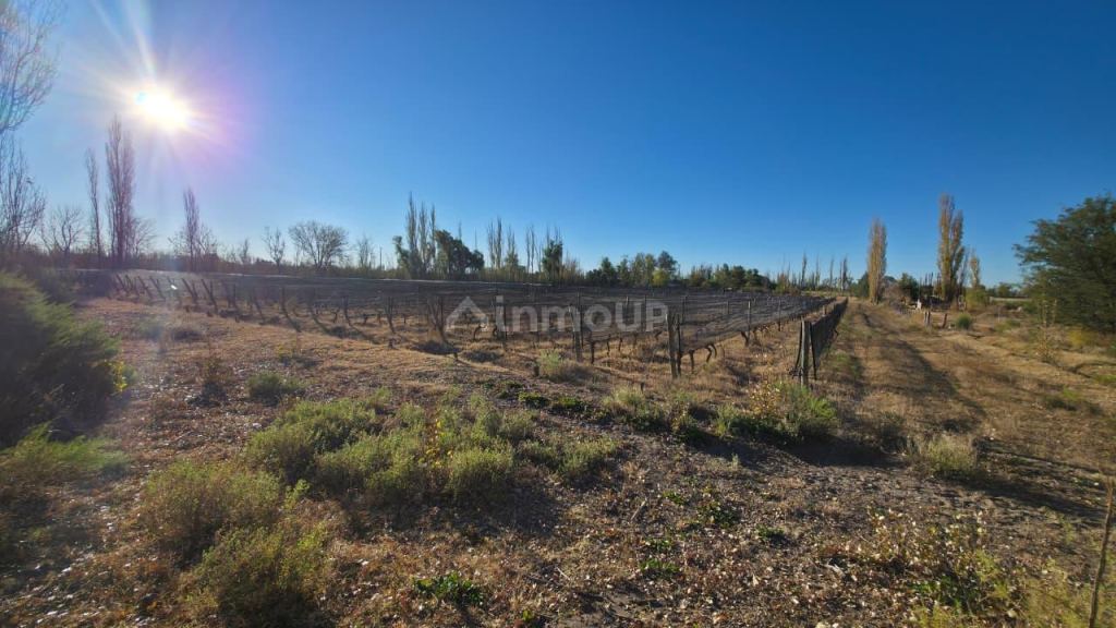 Finca en Venta en San Rafael, Mendoza