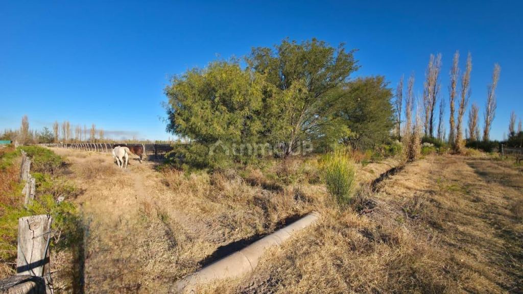 Finca en Venta en San Rafael, Mendoza