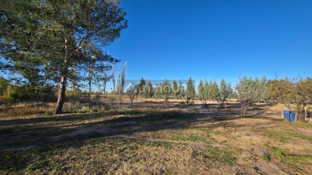 Finca en Venta en San Rafael, Mendoza