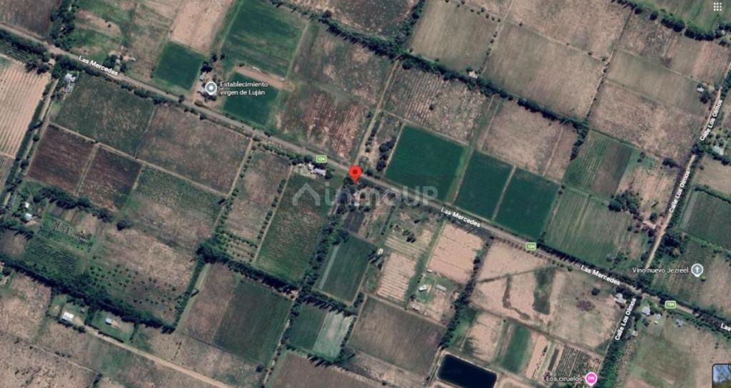 Finca en Venta en San Rafael, Mendoza