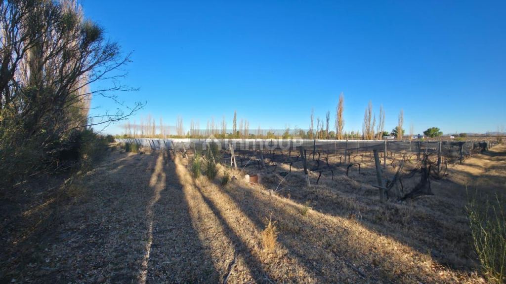 Finca en Venta en San Rafael, Mendoza