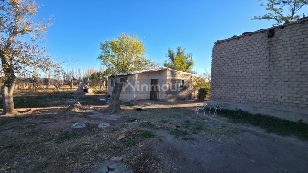 Finca en Venta en San Rafael, Mendoza