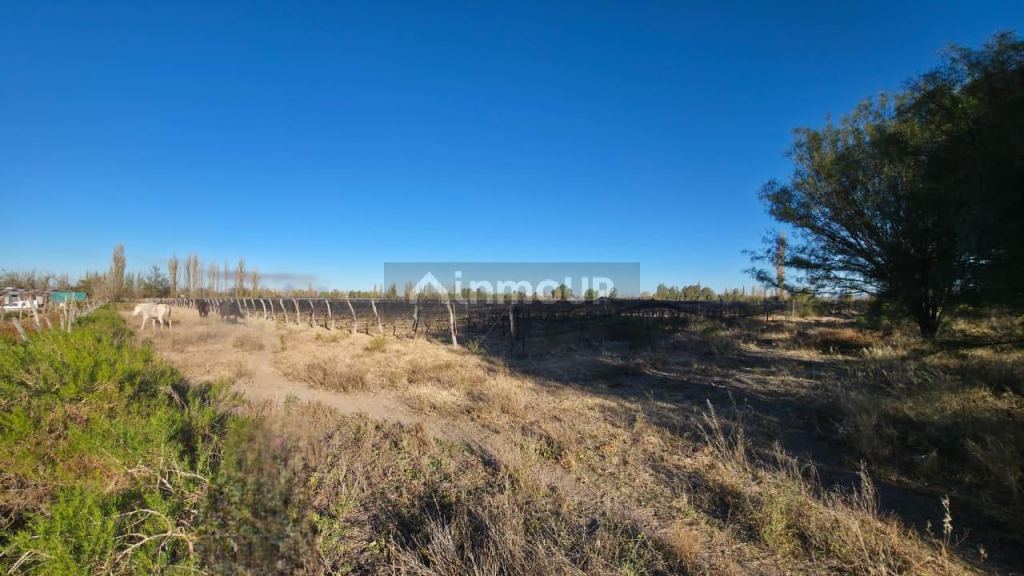 Finca en Venta en San Rafael, Mendoza