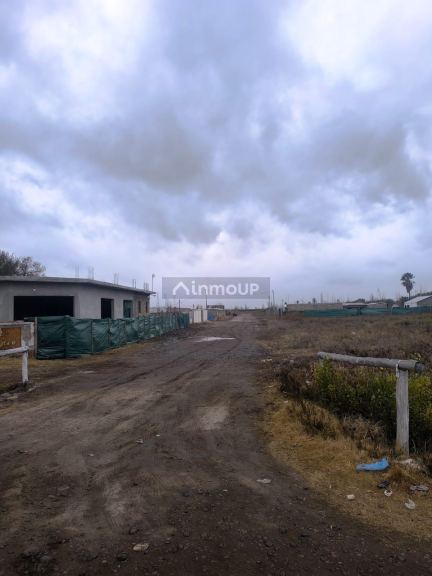 Loteo en Venta en Maipu, Mendoza