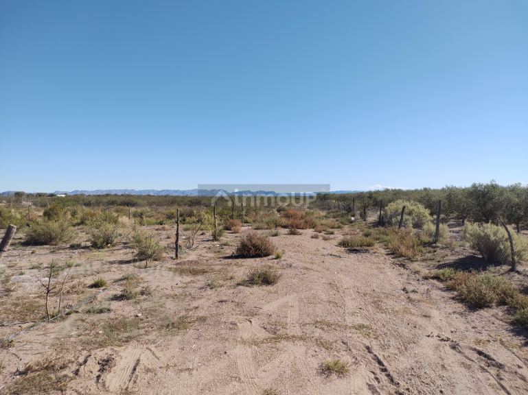 Terreno en Venta en San Rafael, Mendoza