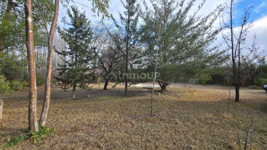 Casa en Venta en San Rafael, Mendoza