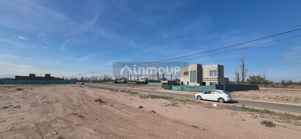 Lote en Venta en Lujan de Cuyo, Mendoza
