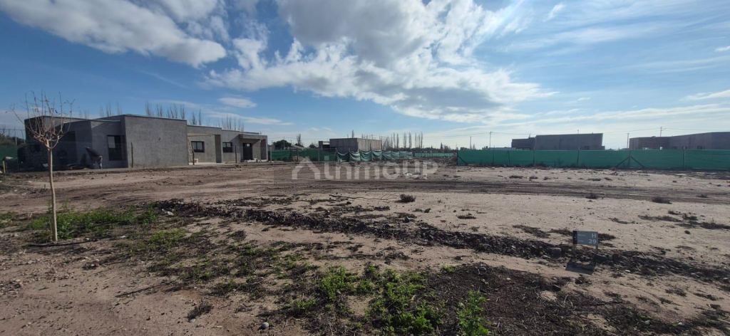 Lote en Venta en Lujan de Cuyo, Mendoza