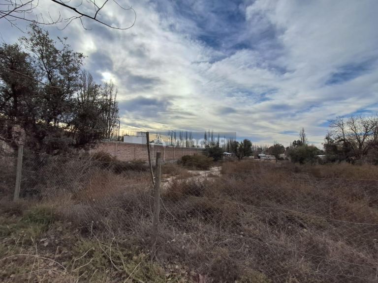 Terreno en Venta en Lujan de Cuyo, Mendoza