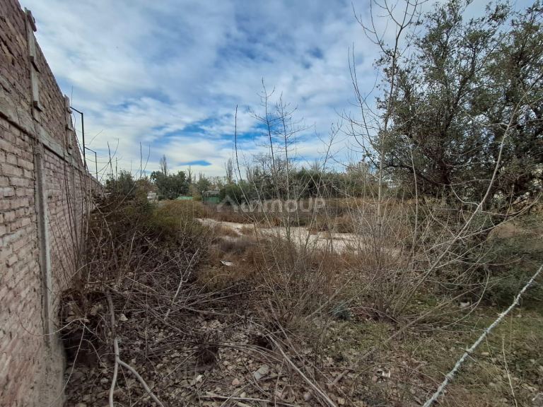 Terreno en Venta en Lujan de Cuyo, Mendoza