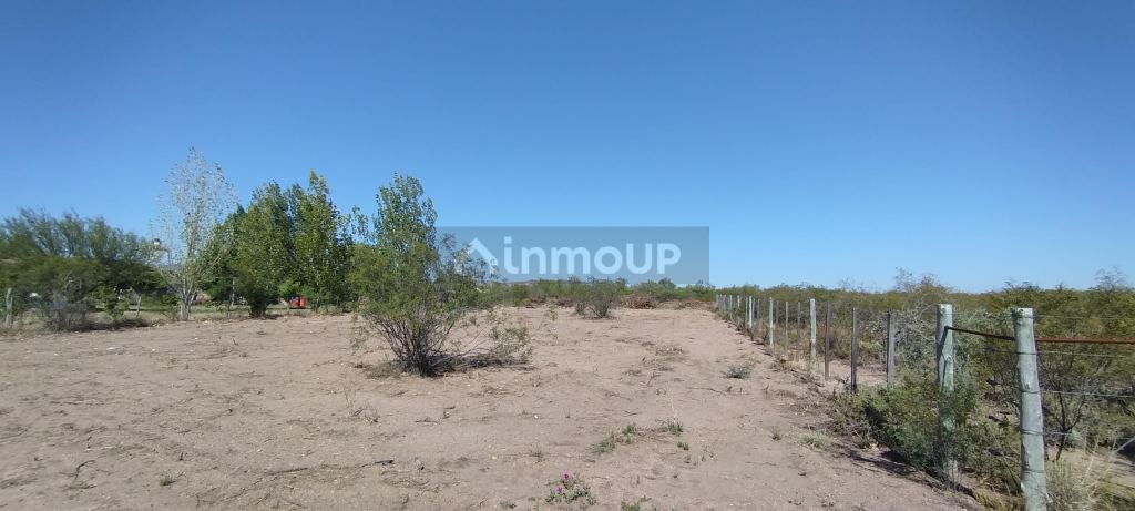Loteo en Venta en San Rafael, Mendoza