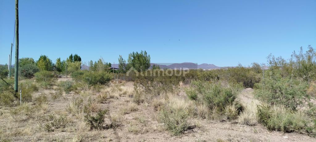 Loteo en Venta en San Rafael, Mendoza