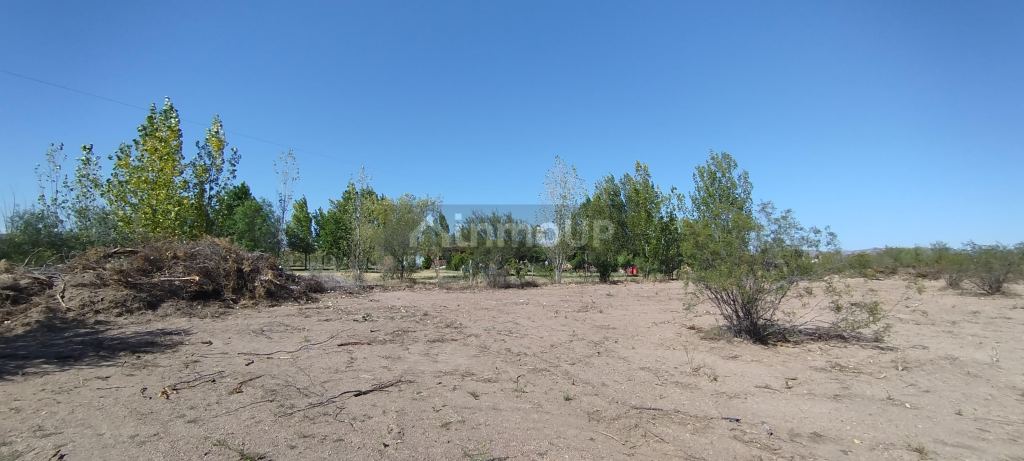 Loteo en Venta en San Rafael, Mendoza