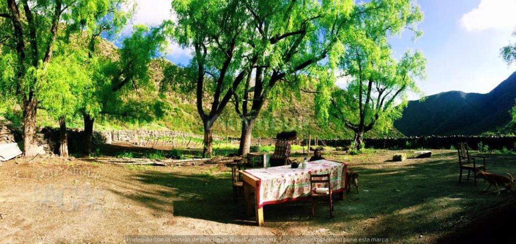Campo en Venta en Lujan de Cuyo, Mendoza