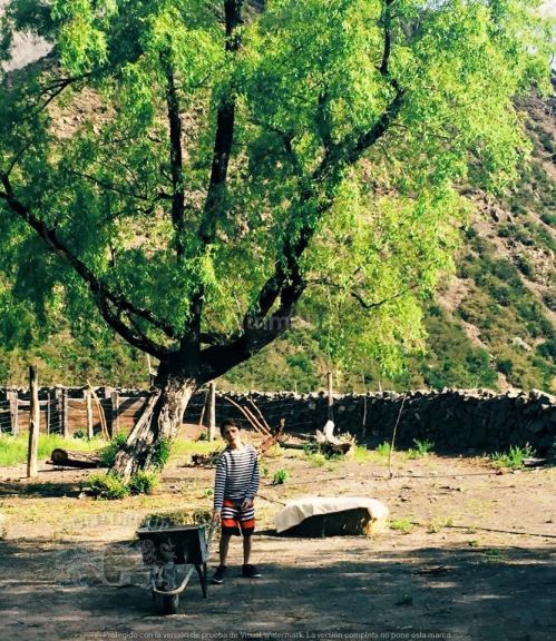 Campo en Venta en Lujan de Cuyo, Mendoza