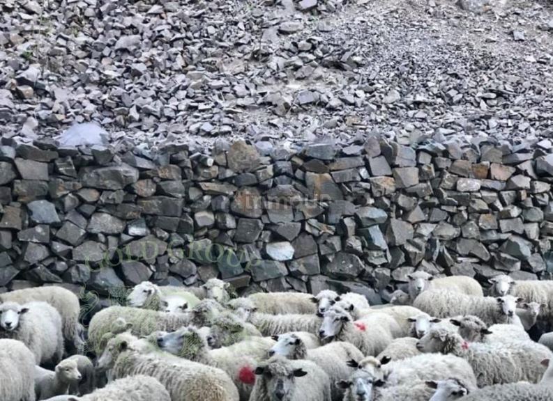 Campo en Venta en Lujan de Cuyo, Mendoza