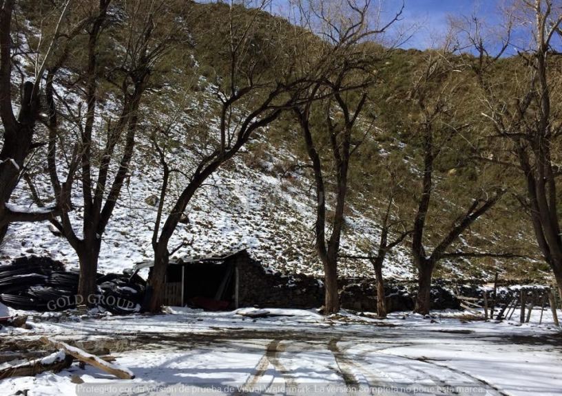 Campo en Venta en Lujan de Cuyo, Mendoza
