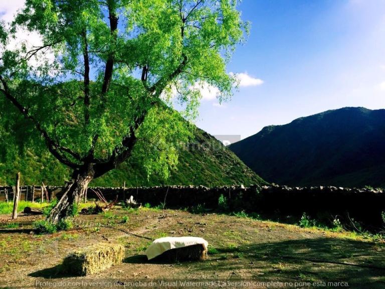 Campo en Venta en Lujan de Cuyo, Mendoza