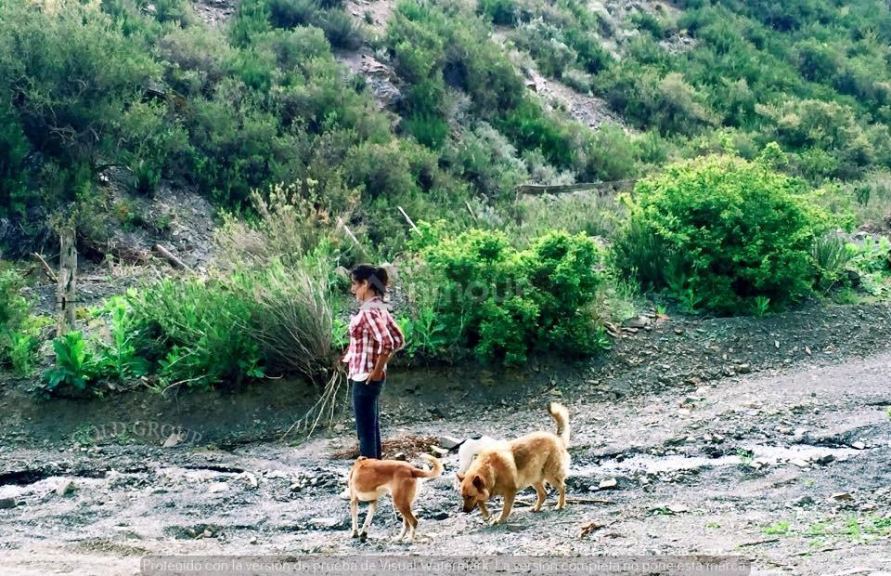 Campo en Venta en Lujan de Cuyo, Mendoza