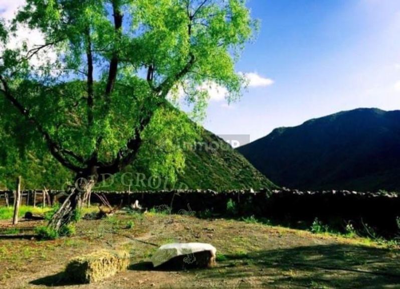 Campo en Venta en Lujan de Cuyo, Mendoza