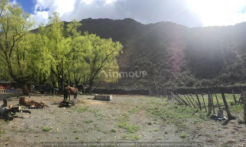 Campo en Venta en Lujan de Cuyo, Mendoza