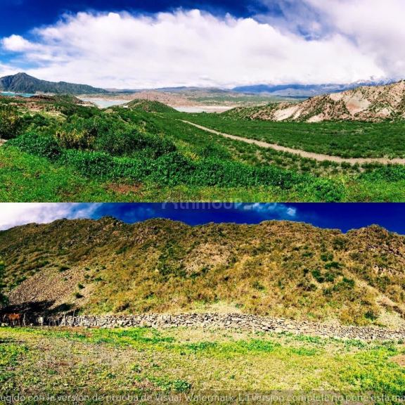 Campo en Venta en Lujan de Cuyo, Mendoza