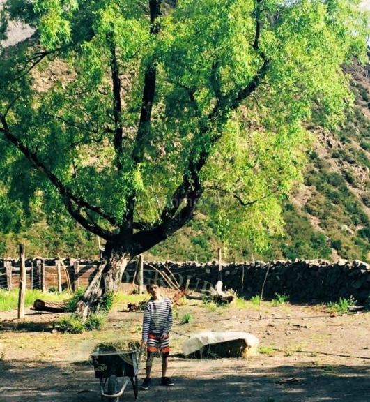 Campo en Venta en Lujan de Cuyo, Mendoza