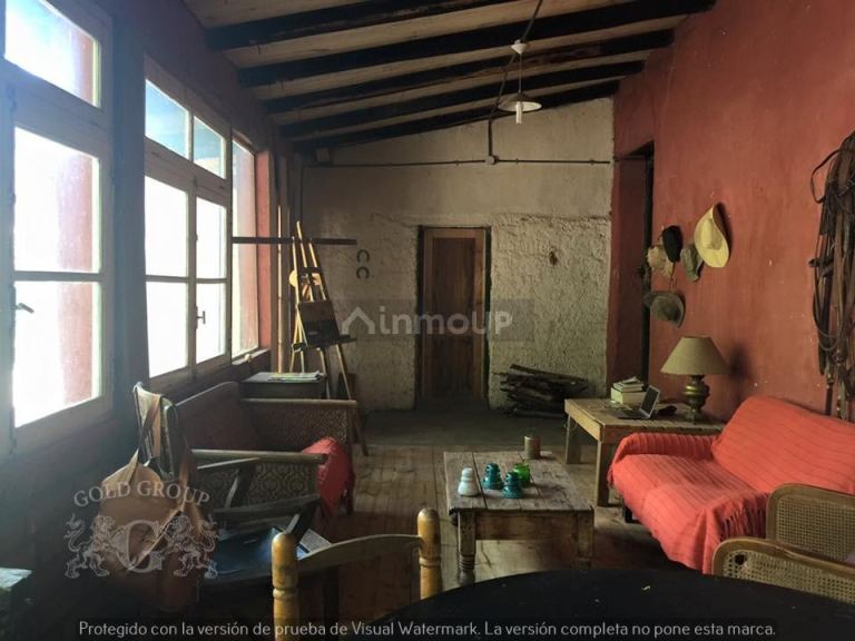 Campo en Venta en Lujan de Cuyo, Mendoza