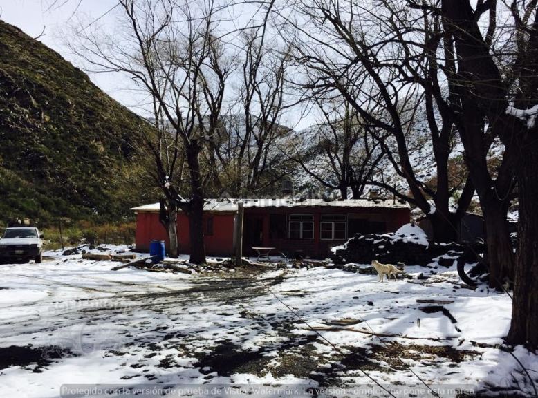 Campo en Venta en Lujan de Cuyo, Mendoza