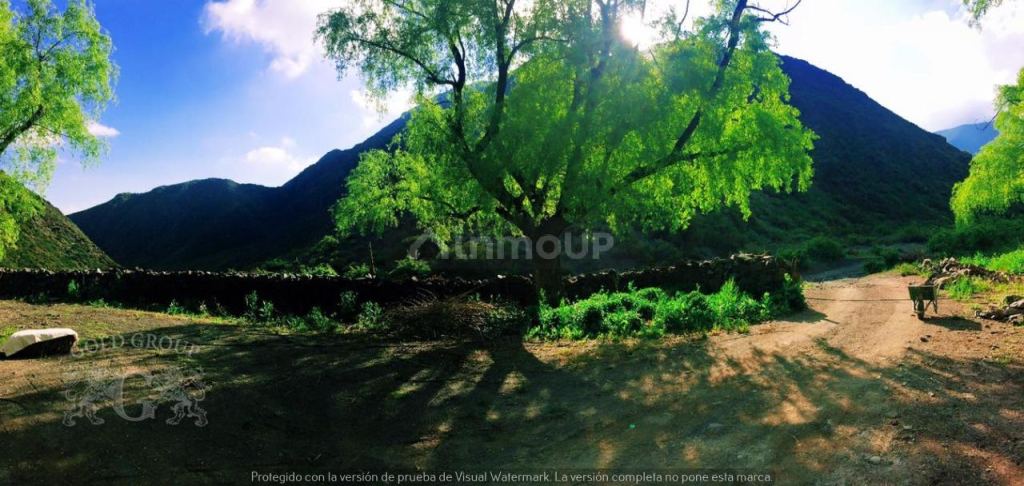 Campo en Venta en Lujan de Cuyo, Mendoza