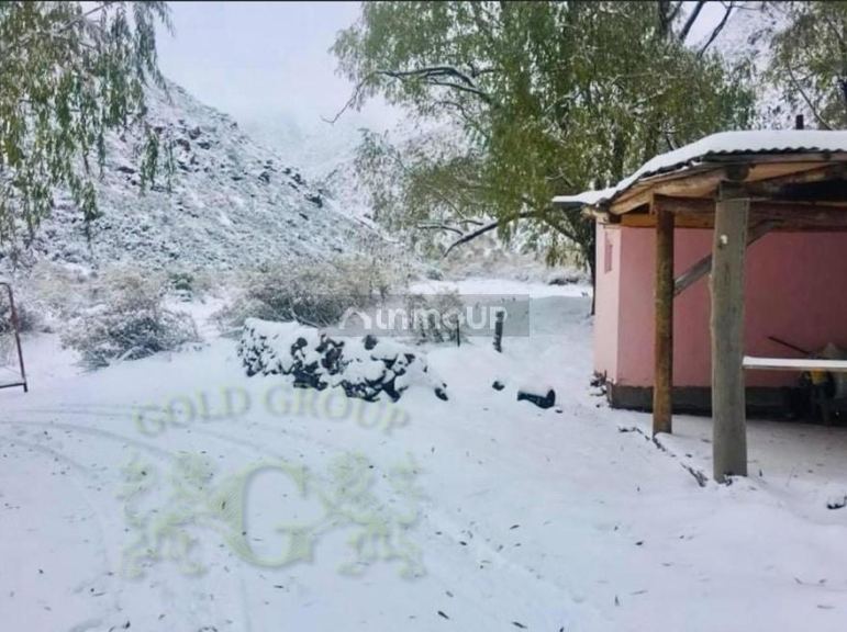 Campo en Venta en Lujan de Cuyo, Mendoza