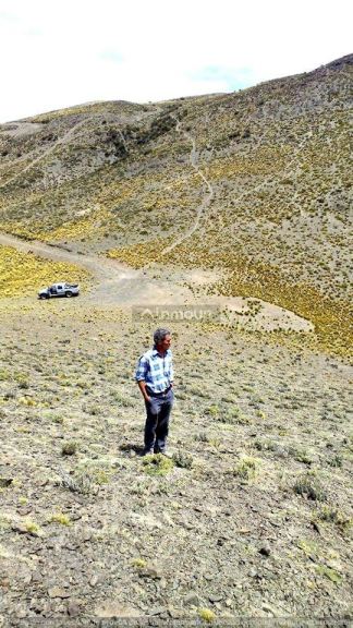 Campo en Venta en Lujan de Cuyo, Mendoza