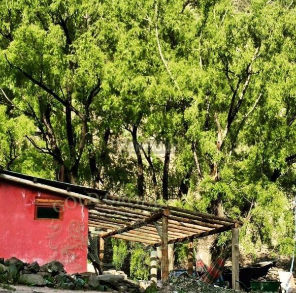 Campo en Venta en Lujan de Cuyo, Mendoza