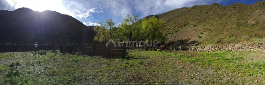 Campo en Venta en Lujan de Cuyo, Mendoza
