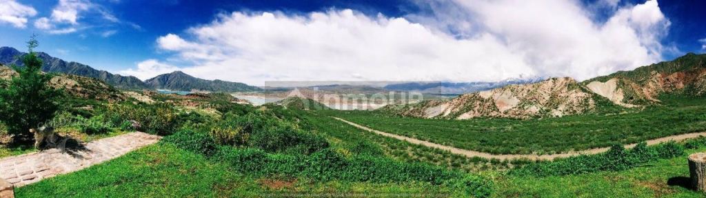 Campo en Venta en Lujan de Cuyo, Mendoza