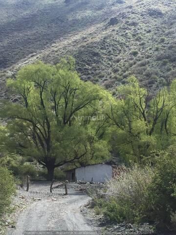 Campo en Venta en Lujan de Cuyo, Mendoza