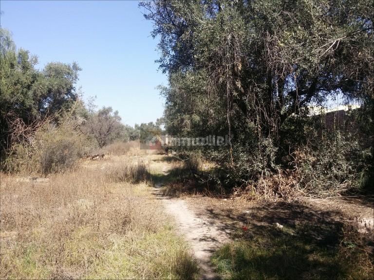 Lote en Venta en Maipu, Mendoza