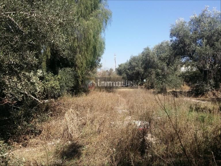 Lote en Venta en Maipu, Mendoza