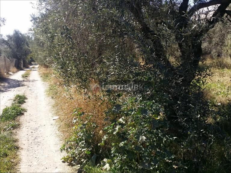 Lote en Venta en Maipu, Mendoza
