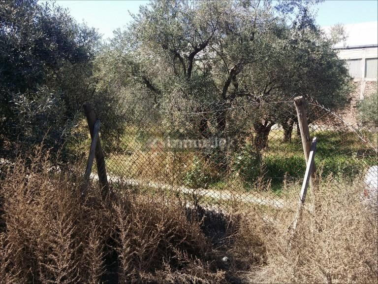 Lote en Venta en Maipu, Mendoza