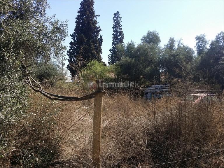 Lote en Venta en Maipu, Mendoza