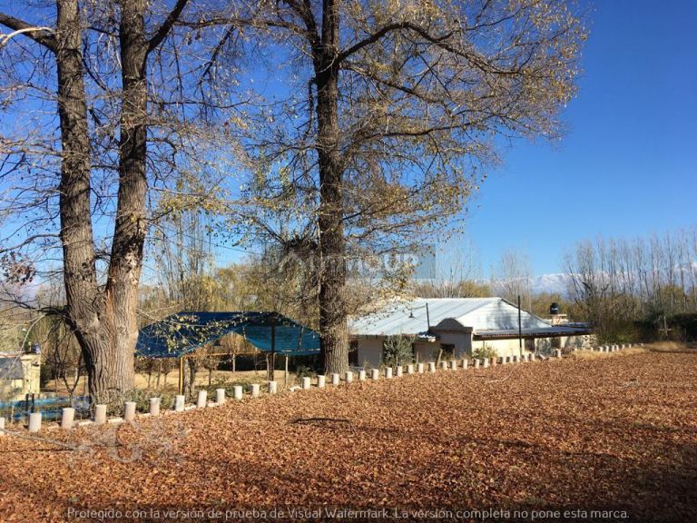 Cabaña en Venta en Lujan de Cuyo, Mendoza