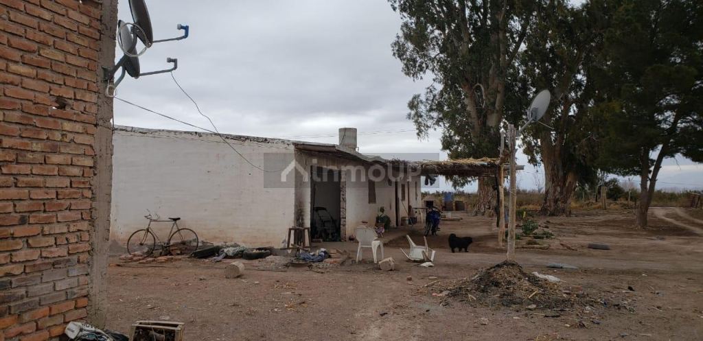 Finca en Venta en Lavalle, Mendoza