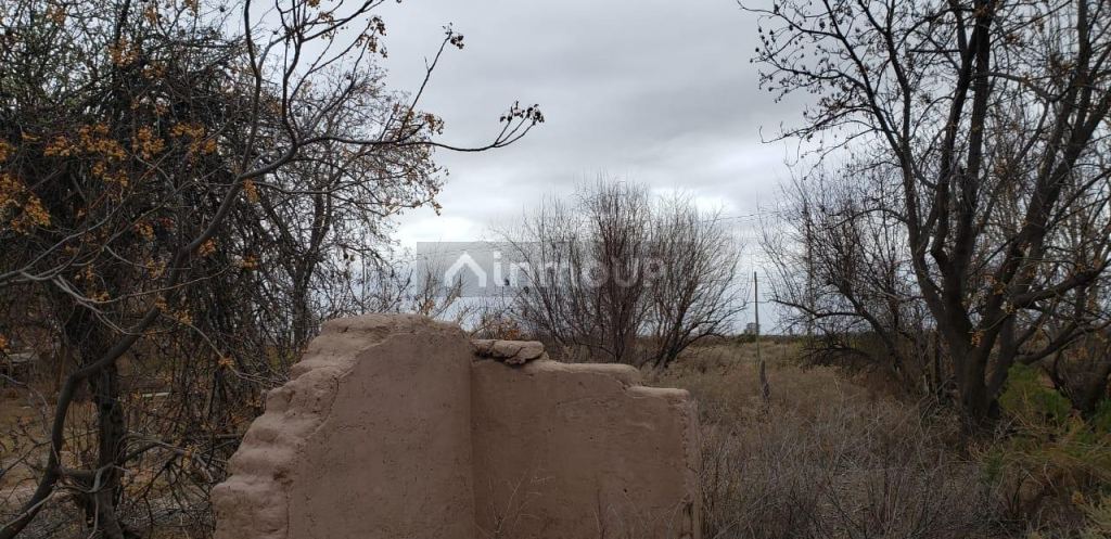 Finca en Venta en Lavalle, Mendoza
