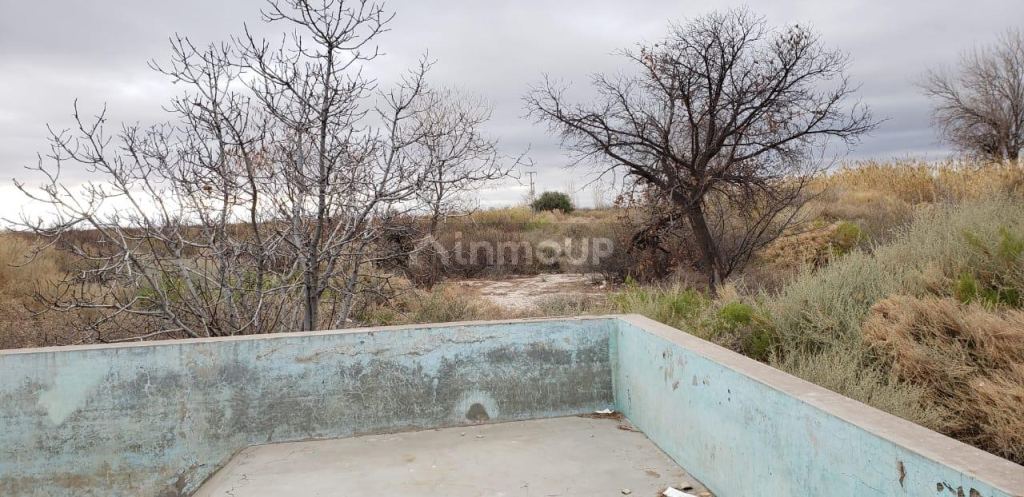 Finca en Venta en Lavalle, Mendoza