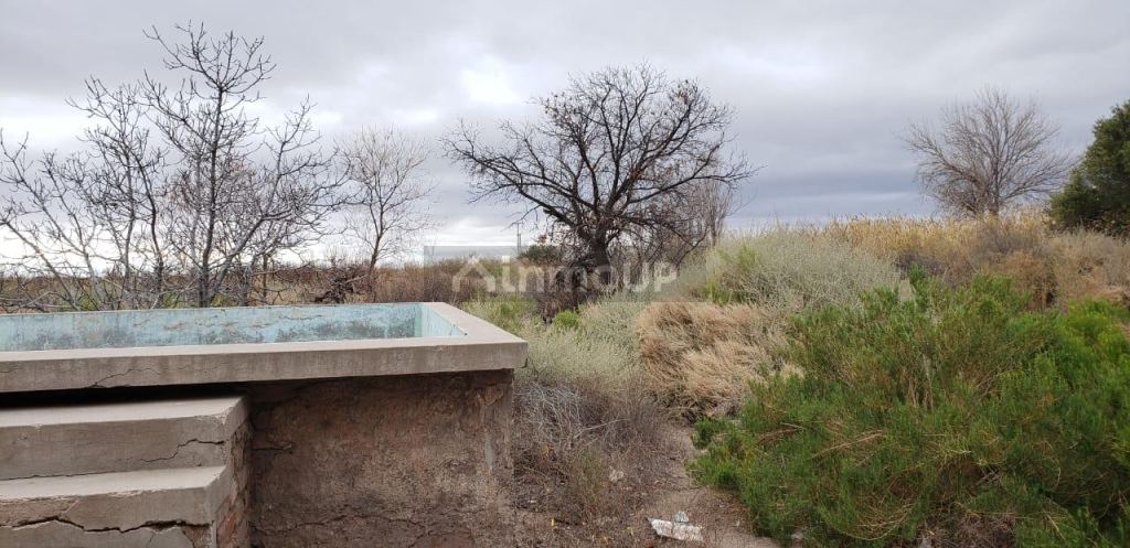 Finca en Venta en Lavalle, Mendoza