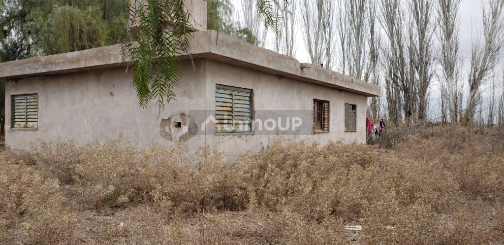 Finca en Venta en Lavalle, Mendoza