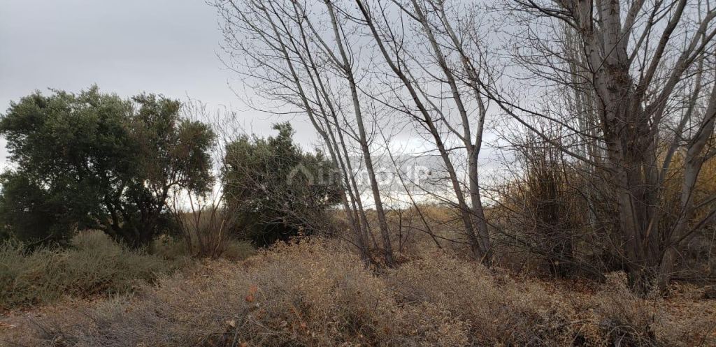 Finca en Venta en Lavalle, Mendoza