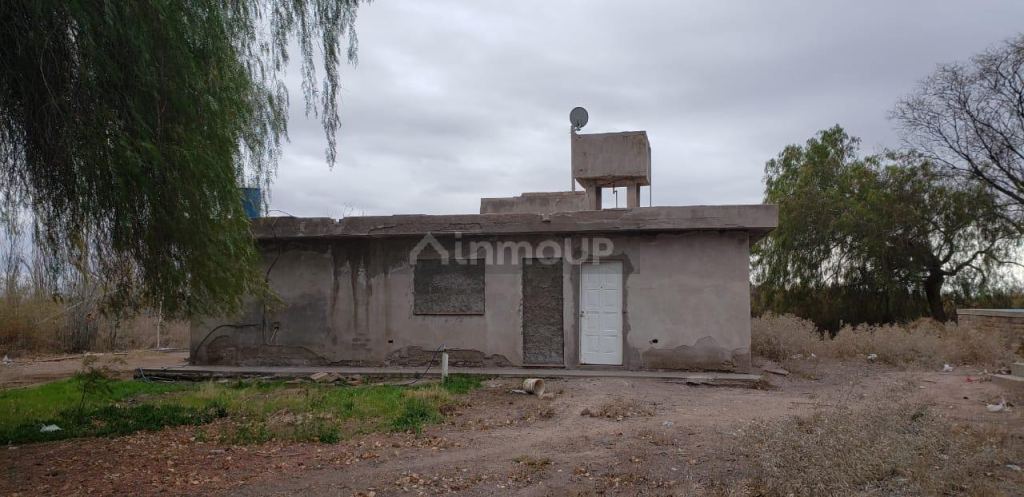 Finca en Venta en Lavalle, Mendoza