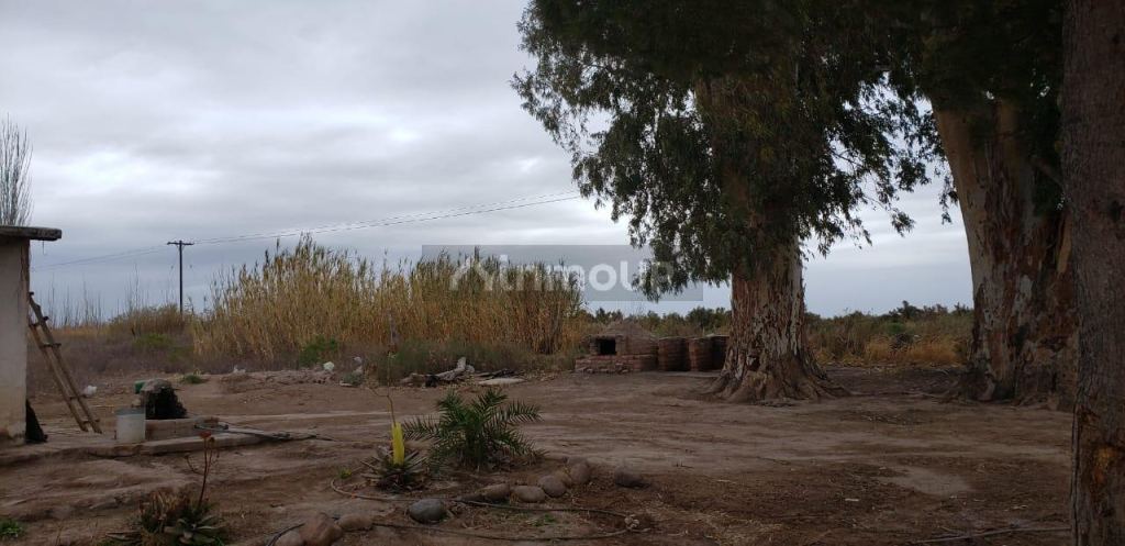 Finca en Venta en Lavalle, Mendoza